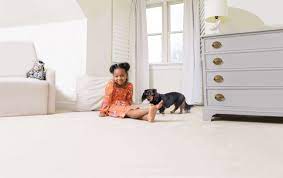 carpet cleaning in fishers indiana