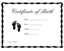 Great For Teddy Bear And Baby Doll Birth Certificates