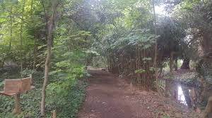 Résultat de recherche d'images pour