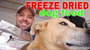 Freeze dry the meat until all moisture is gone. Freeze Dried Dog Food Recipe Harvestright Freeze Dryer Youtube Freeze Dried Dog Food Freeze Dried Dog Treats Make Dog Food