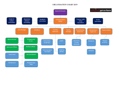 Organisational Chart Multi Cultural Aged Care Illawara