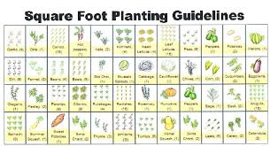 48 Precise Spacing Garden Plants Chart