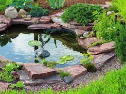 How To Build A Pond Help Guides