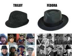 6) amas or very broad general questions about incels are forbidden. If You Wore A Trilby And Truly Believed It Was A Fedora Would You Argue Your Point As To Why It Is A Fedora To You And Not A Trilby Or Would