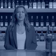 discover skyy vodka with cari