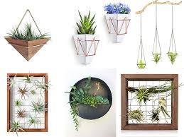 How To Use Hanging Air Plants Instead