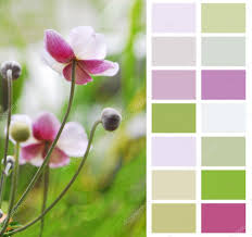 Anemone Japanese In Pastel Color Chart Palette Swatches