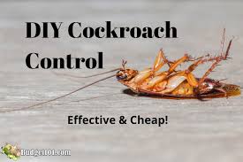 roach control homemade pesticides