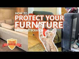Cats From Scratching Furniture