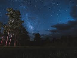 Cherry Springs State Park The Best Stargazing East Of The