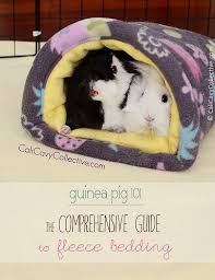 pin on guinea pig homes