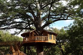 These tree houses are intended as residences and require a contractor's license, as do most all home. Day Trips Utopia French Chef Decorates Her Ultimate Treehouses In Utopia Columns The Austin Chronicle