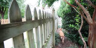 Yard Fencing For Dogs Outdoor Fencing