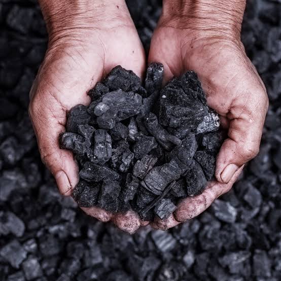 The Hidden Powers of Charcoal: Surprising Benefits and Uses