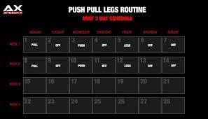 push pull legs routine ppl split for