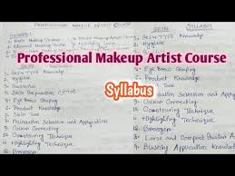 live 11 professional makeup artist