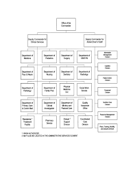 Figure 1 4 Typical Hospital Organization Chart Medical