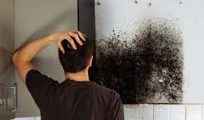 Get Rid Of Mould From Every Surface