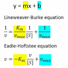 Equation Y Mx B