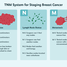Breast Tumor Size And Staging