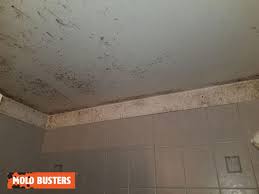 mold in the shower is your home at
