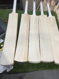 english willow wooden cricket bat