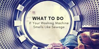 Washing Machine Smells Like Sewage