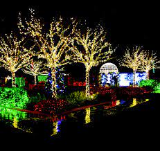 holiday lights at florida botanical