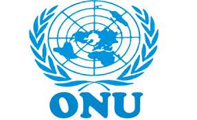 Entenda o Que É a Organização das Nações Unidas – ONU