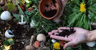 Gardening With Coffee Grounds