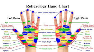 Reflexology Hand Chart Beauty Express Visual Ly