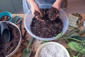 How To Make Succulent Soil Mix Diy