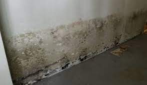 Basement Humidity Potential Damages