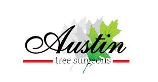 The tree service georgetown tx relies on for complete tree care is arbor oaks. Georgetown Tree Service Home Facebook