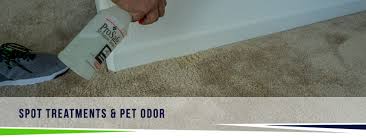 pet odor removal cleaning steam pros