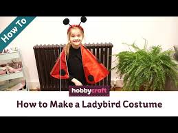 how to make a ladybird costume world