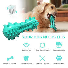 dog squeaky toy for chewing teeth