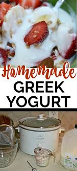 how to make fat free greek yogurt