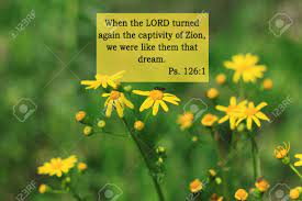 The bible is like a wide and beautiful landscape seen afar off, dim and confused; Bible Quotes On Yellow Flowers Background Card With Text Sign Stock Photo Picture And Royalty Free Image Image 146017201