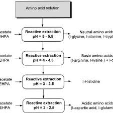 Operation Chart For The Selective Extraction Of Amino Acids