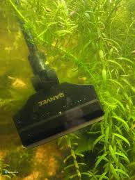 5 best algae sers tested compared