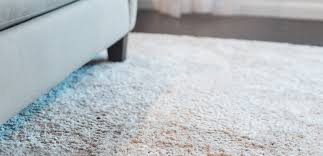 are dust mites in carpet making me sick