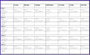Weekly Work Schedule Template Excel 4 Week Day Time Hourly