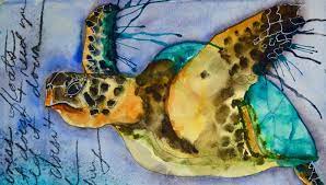Paint A Green Sea Turtle Daniel Smith