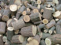 Áremelkedés és fahiány jellemzi a tûzifa-piacot - Országos Erdészeti  Egyesület