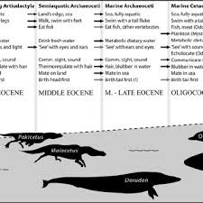 Pdf Evolution Of Whales From Land To Sea
