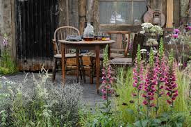 plant your own foxglove haven at home