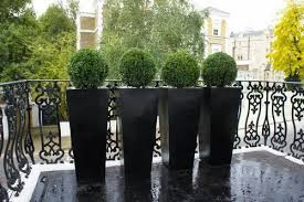 Black Light Frp Tall Planters For