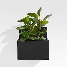 Pocket Black Wall Planter Reviews