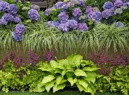 51 Shade Perennials For Full And